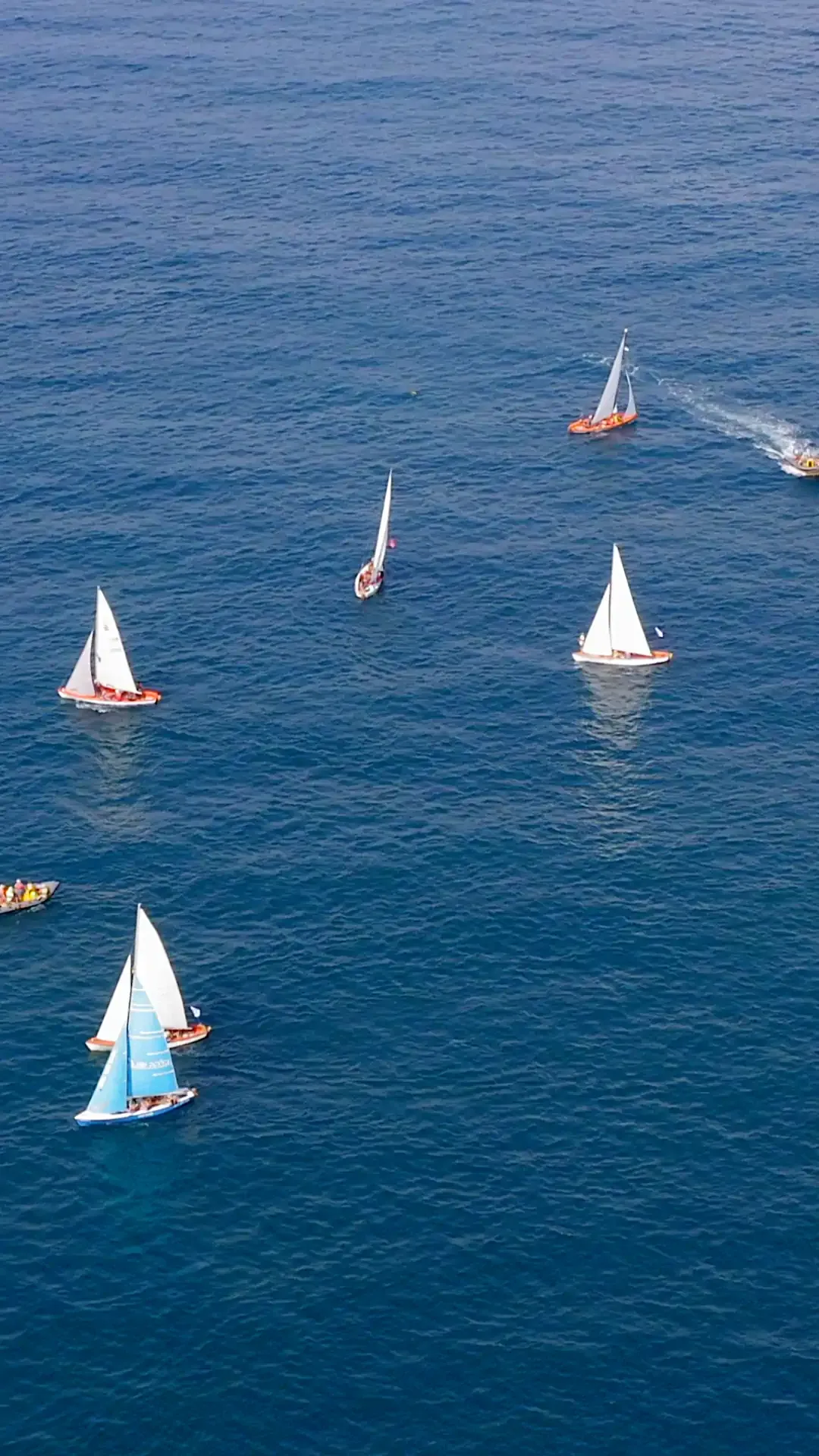 OFFERS & ONE-WAY CHARTERS